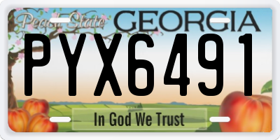 GA license plate PYX6491