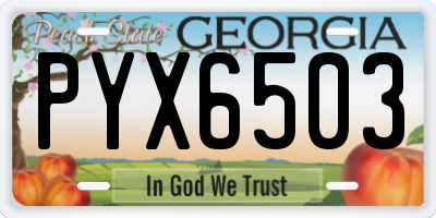 GA license plate PYX6503