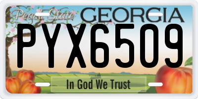 GA license plate PYX6509