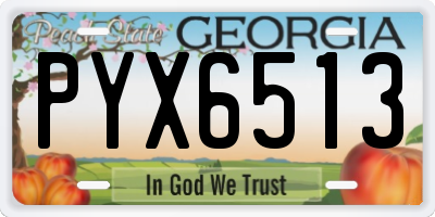 GA license plate PYX6513