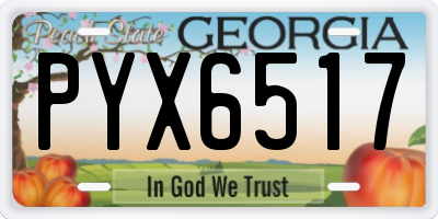 GA license plate PYX6517