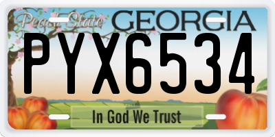 GA license plate PYX6534