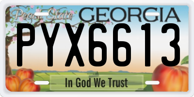 GA license plate PYX6613
