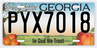 GA license plate PYX7018