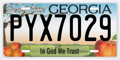 GA license plate PYX7029