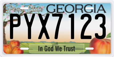 GA license plate PYX7123