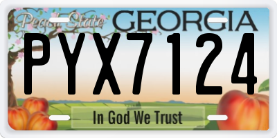 GA license plate PYX7124