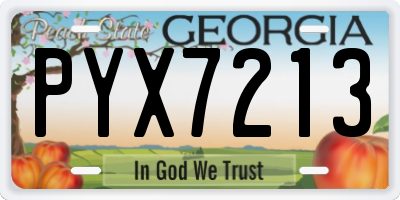 GA license plate PYX7213