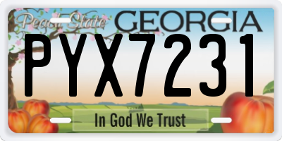 GA license plate PYX7231