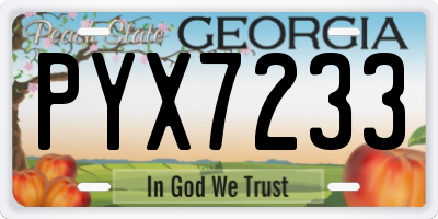 GA license plate PYX7233