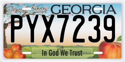 GA license plate PYX7239