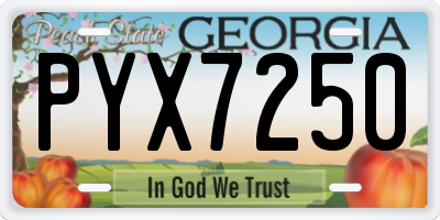 GA license plate PYX7250