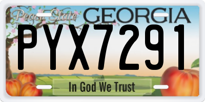 GA license plate PYX7291