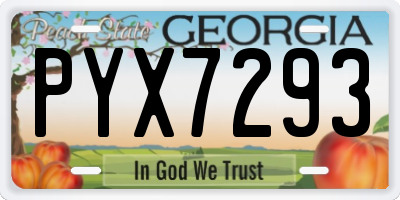 GA license plate PYX7293