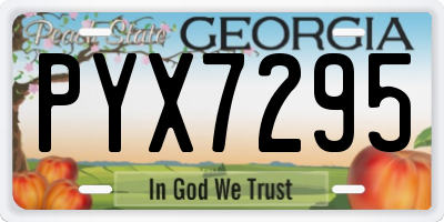 GA license plate PYX7295