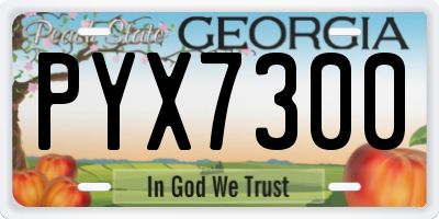 GA license plate PYX7300