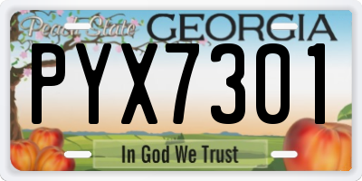 GA license plate PYX7301