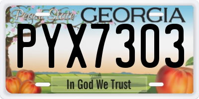 GA license plate PYX7303