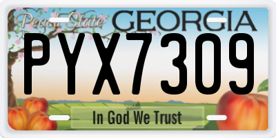GA license plate PYX7309