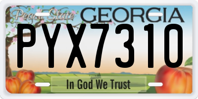 GA license plate PYX7310