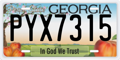 GA license plate PYX7315