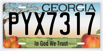 GA license plate PYX7317