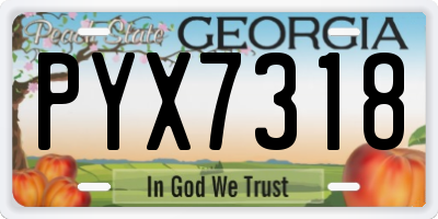 GA license plate PYX7318