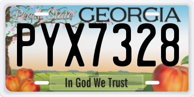 GA license plate PYX7328