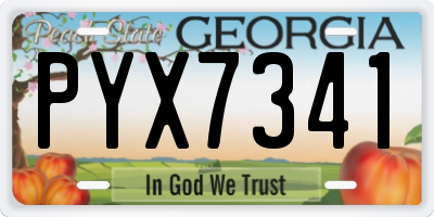 GA license plate PYX7341
