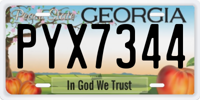 GA license plate PYX7344