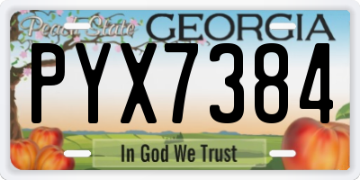 GA license plate PYX7384
