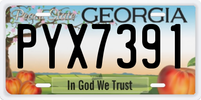 GA license plate PYX7391