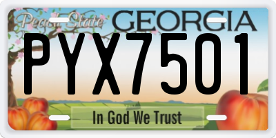 GA license plate PYX7501