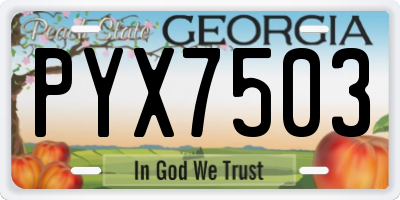 GA license plate PYX7503