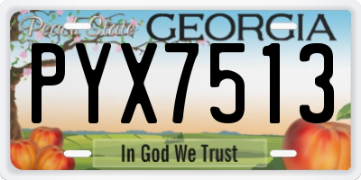 GA license plate PYX7513
