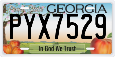GA license plate PYX7529