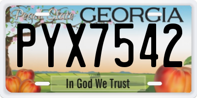 GA license plate PYX7542