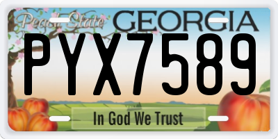 GA license plate PYX7589