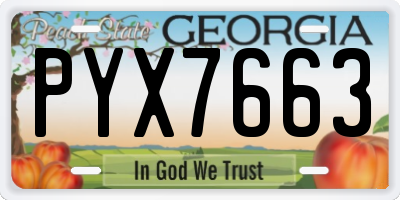 GA license plate PYX7663
