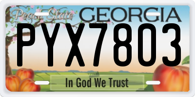 GA license plate PYX7803