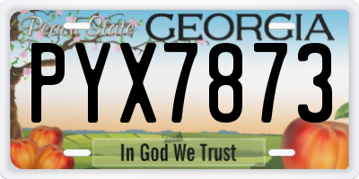 GA license plate PYX7873