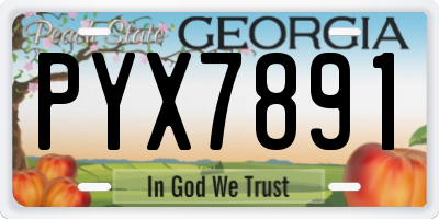 GA license plate PYX7891