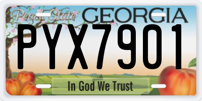 GA license plate PYX7901