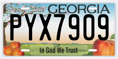 GA license plate PYX7909