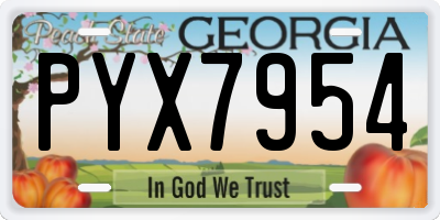GA license plate PYX7954