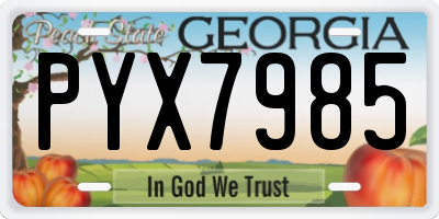 GA license plate PYX7985
