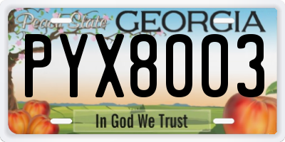 GA license plate PYX8003