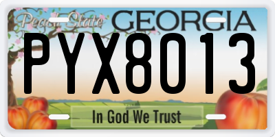 GA license plate PYX8013