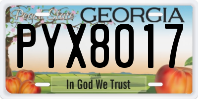 GA license plate PYX8017
