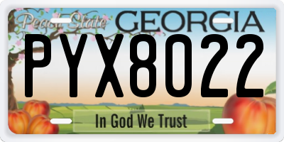 GA license plate PYX8022